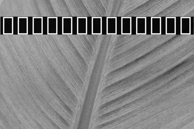 Noto Serif Myanmar ExtraBold Font examples