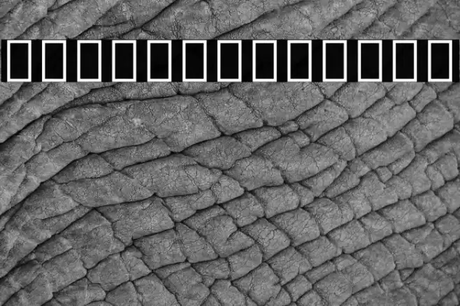 Noto Serif Myanmar ExtraBold Font examples