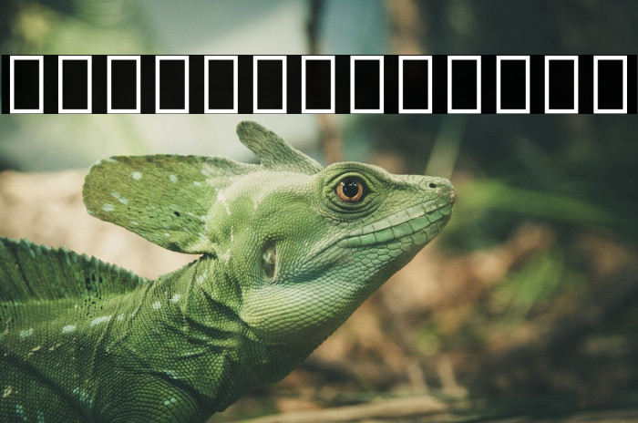Noto Serif Myanmar ExtraCondensed SemiBold Font examples