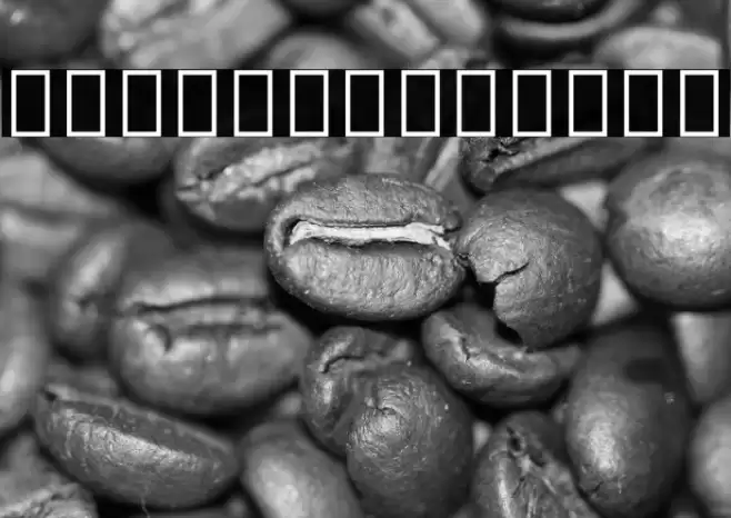 Noto Serif Myanmar Regular Font examples