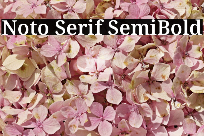 Noto Serif SemiBold Font examples