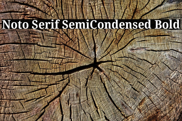 Noto Serif SemiCondensed Bold Example 2