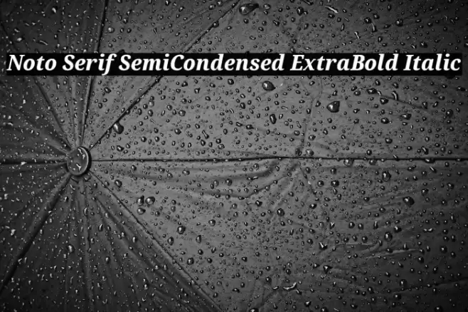 Noto Serif SemiCondensed ExtraBold Italic Font examples