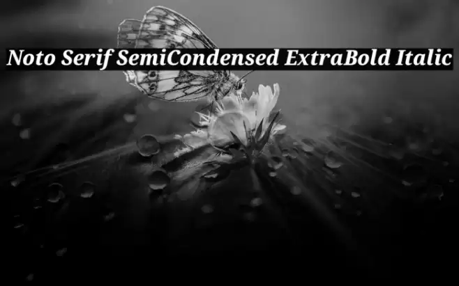 Noto Serif SemiCondensed ExtraBold Italic Font examples