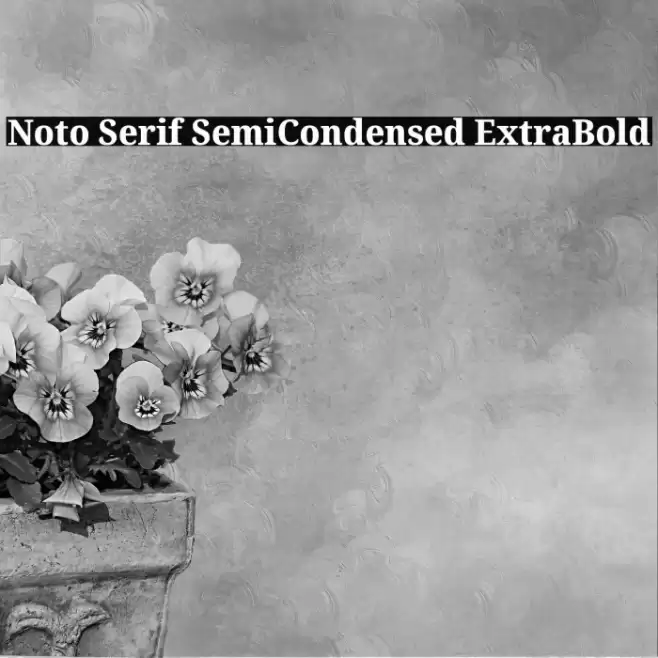 Noto Serif SemiCondensed ExtraBold Font examples