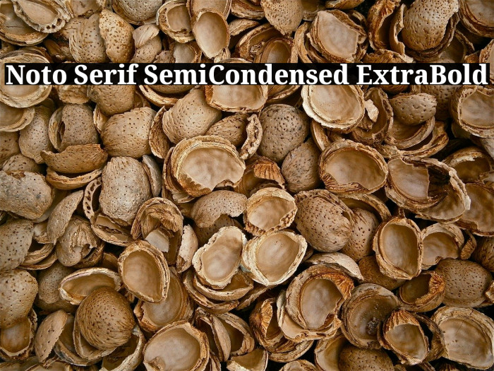 Noto Serif SemiCondensed ExtraBold Example 3