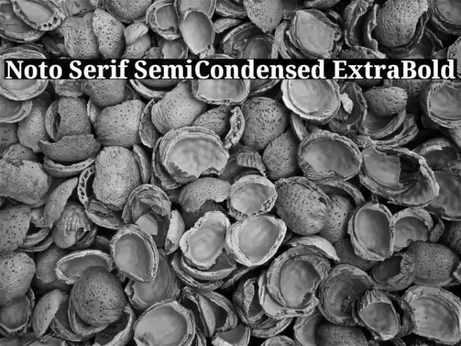 Noto Serif SemiCondensed ExtraBold Font examples