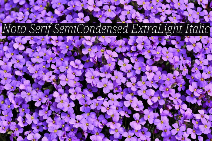 Noto Serif SemiCondensed ExtraLight Italic Font examples
