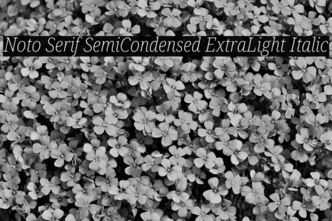 Noto Serif SemiCondensed ExtraLight Italic Example 2