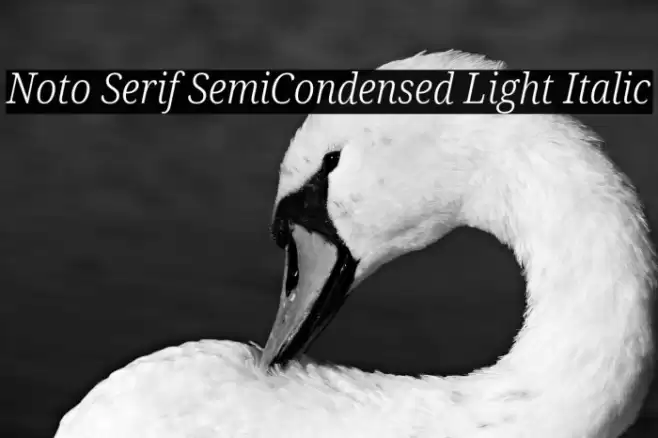 Noto Serif SemiCondensed Light Italic Font examples