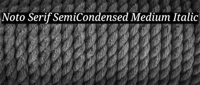 Noto Serif SemiCondensed Medium Italic Font examples