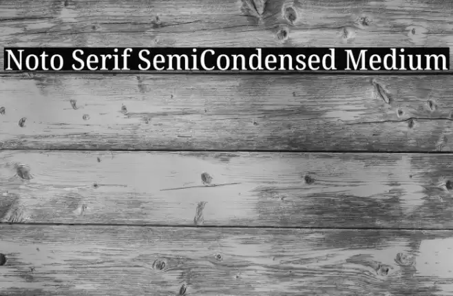 Noto Serif SemiCondensed Medium Font examples