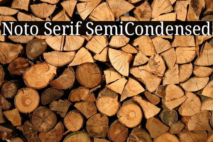 Noto Serif SemiCondensed Example 2