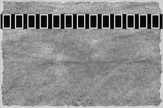 Noto Serif Tamil Condensed ExtraBold Font examples