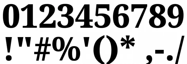 Noto Serif Tamil ExtraBold Font OTHER CHARS