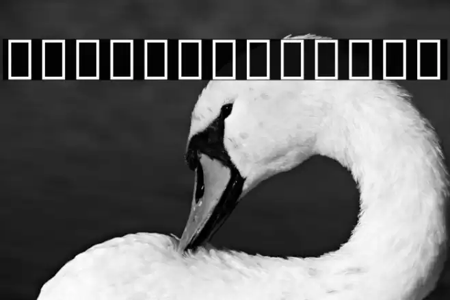 Noto Serif Tamil ExtraCondensed Bold Font examples