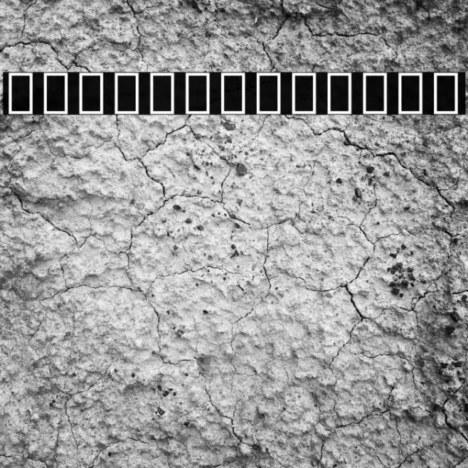 Noto Serif Tamil ExtraCondensed Bold Font examples