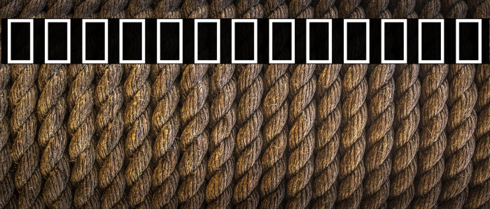 Noto Serif Tamil ExtraLight Font examples