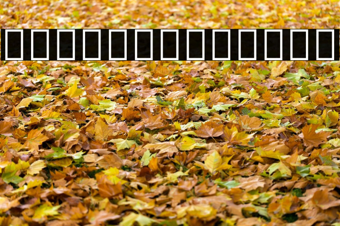 Noto Serif Tamil Regular Example 1