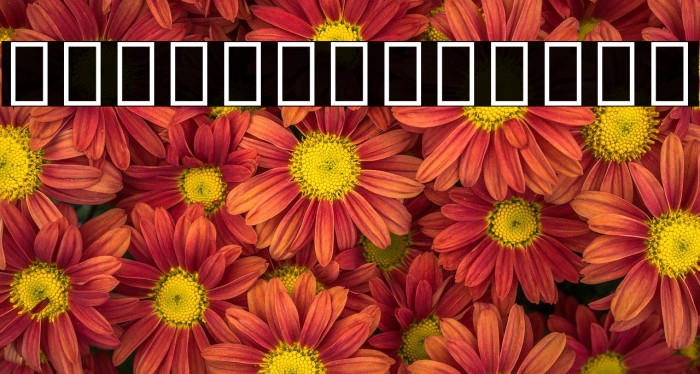 Noto Serif Tamil Regular Example 3