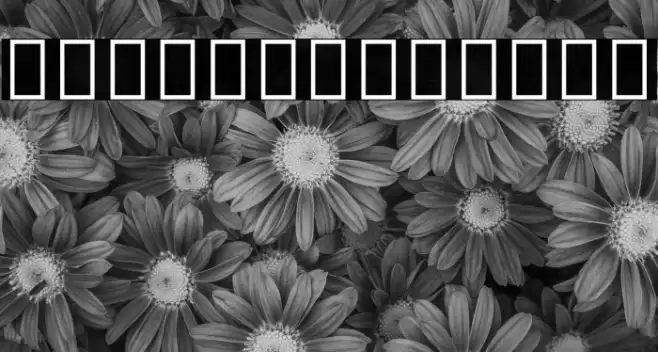 Noto Serif Tamil Regular Font examples