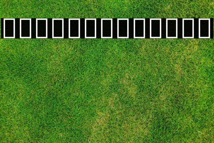 Noto Serif Tamil SemiBold Example 3