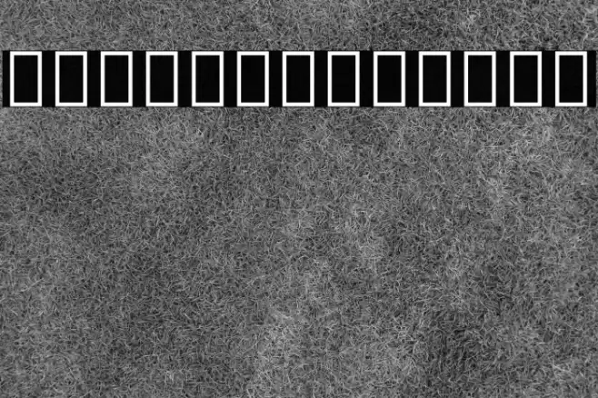 Noto Serif Tamil SemiBold Font examples