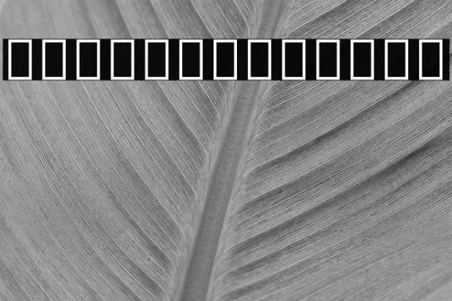 Noto Serif Tamil SemiCondensed ExtraBold Font examples