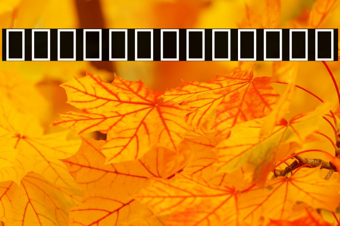 Noto Serif Telugu Bold Font examples
