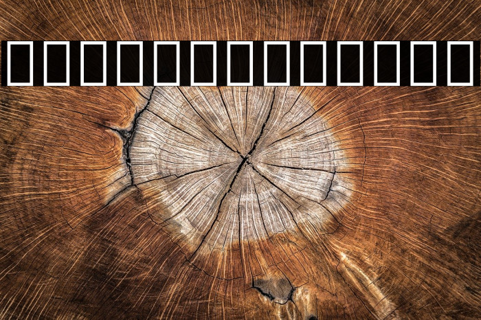 Noto Serif Thai Condensed ExtraBold Example 1