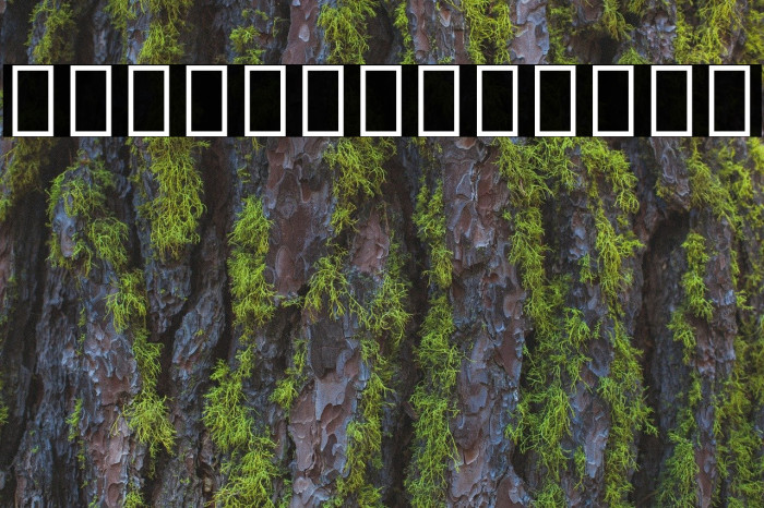 Noto Serif Thai ExtraCondensed ExtraBold Font examples