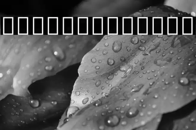 Noto Serif Thai ExtraLight Font examples