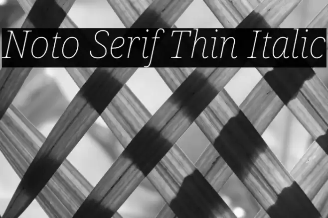 Noto Serif Thin Italic Font examples