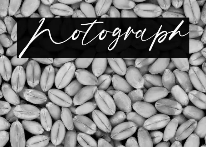 Notograph Font examples