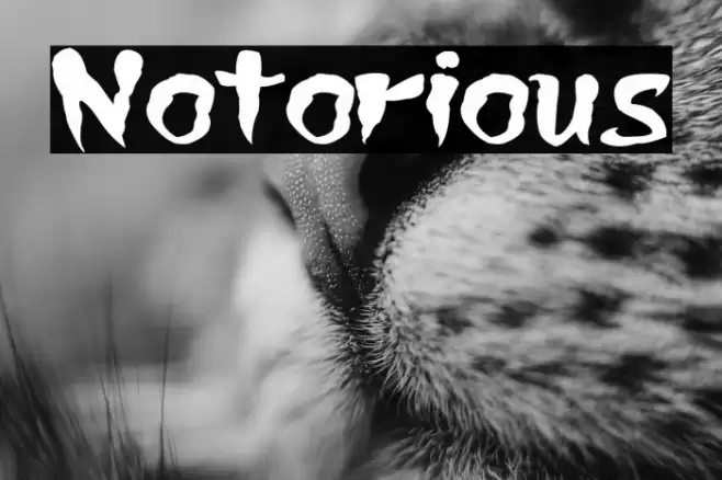 Notorious Font examples