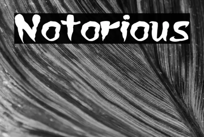 Notorious Font examples