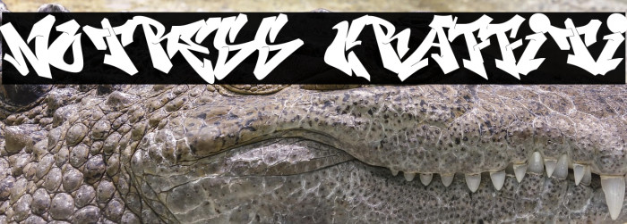 Notress Graffiti Example 1