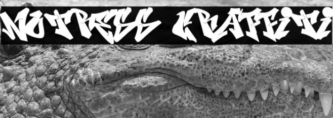 Notress Graffiti Example 1