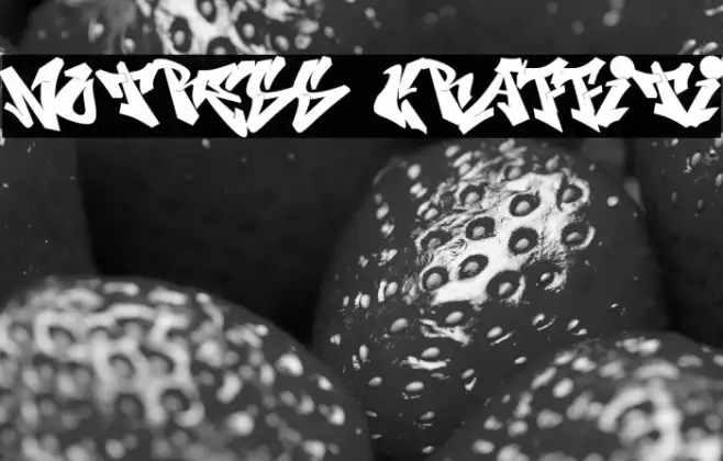 Notress Graffiti Example 2