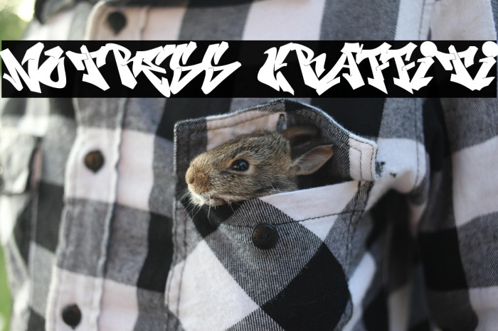 Notress Graffiti Example 3