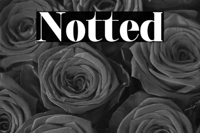 Notted Example 2