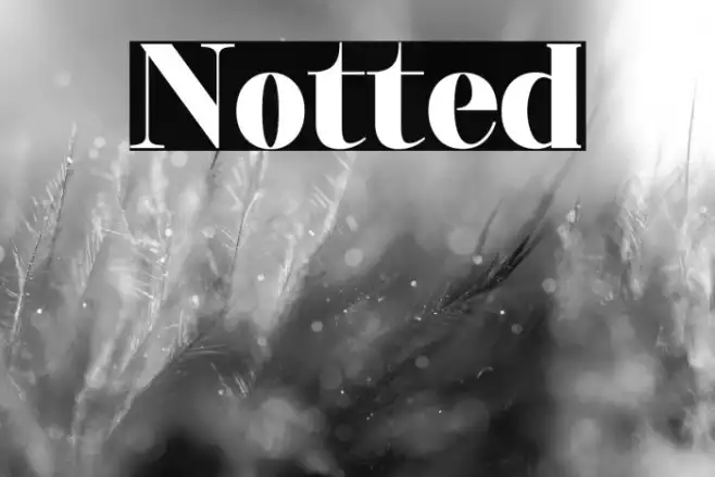 Notted Example 3