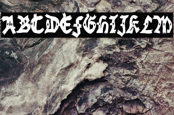 Nottingham Gang Example 3