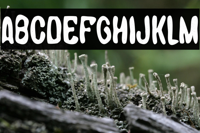 Nottingham Personal Example 1