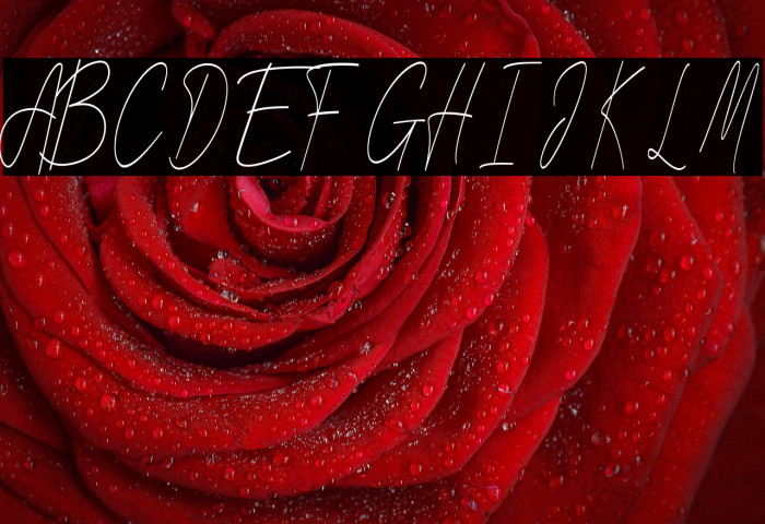 NottinghamFree Example 2