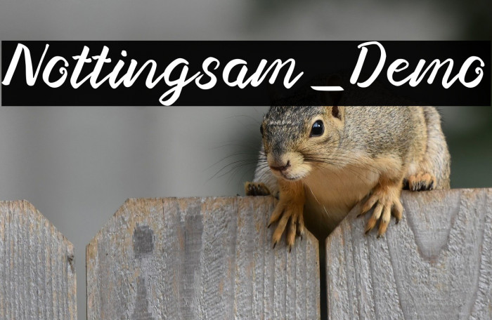 Nottingsam_Demo Example 3