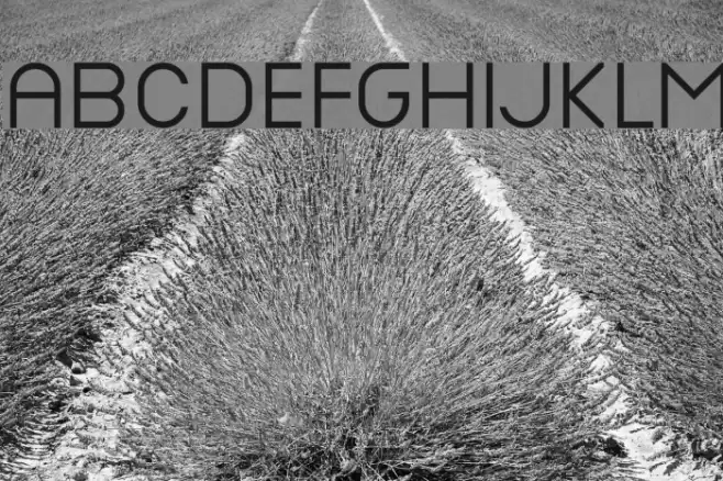 Nottke Font examples