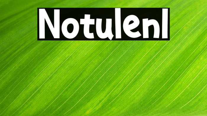 Notulen1 Example 1