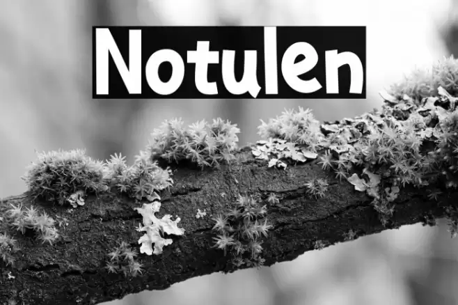 Notulen Polices examples