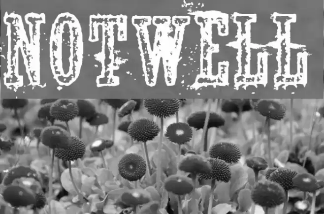 Notwell Font examples